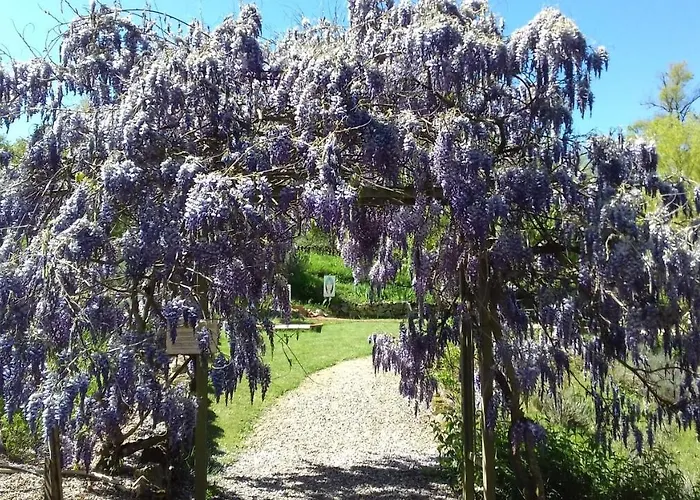 D'hotes La Source Aveyron Vendégház Saint-André-de-Najac