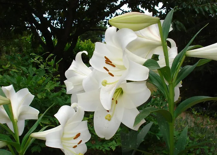 Pensión D'hotes La Source Aveyron 3*