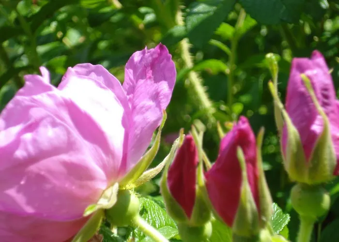 D'hotes La Source Aveyron