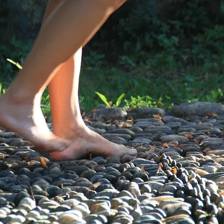 D'hotes La Source Aveyron Saint-André-de-Najac