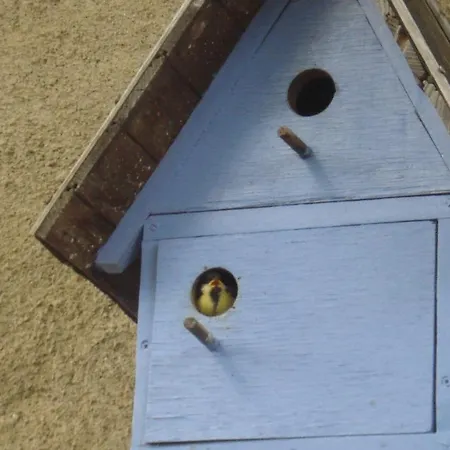 D'hotes La Source Aveyron Saint-André-de-Najac
