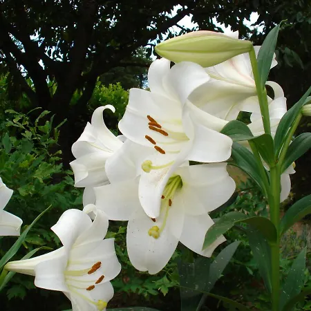 Maison d'hôtes D'hotes La Source Aveyron 3*