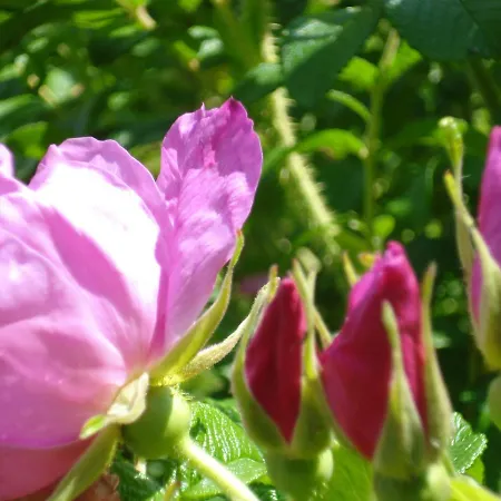 D'hotes La Source Aveyron