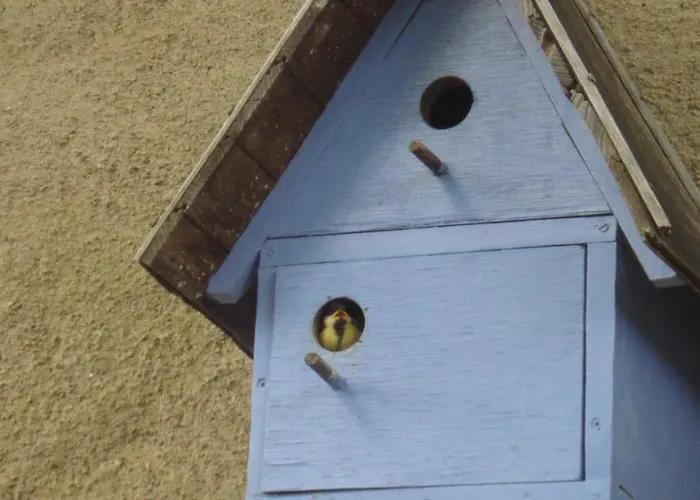 D'hotes La Source Aveyron Saint-André-de-Najac