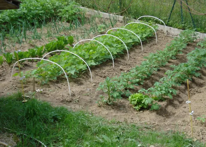 D'hotes La Source Aveyron 3*